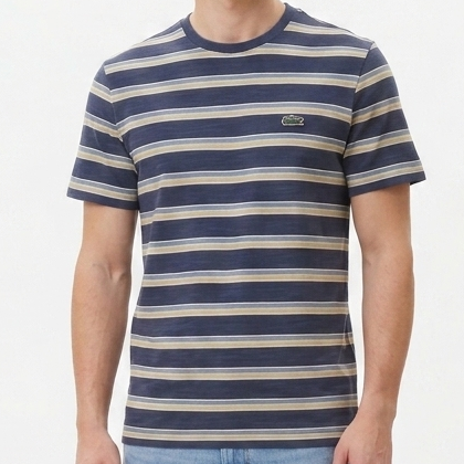 Men Navy Blue Striped Crew Neck Half Sleeve T-Shirt