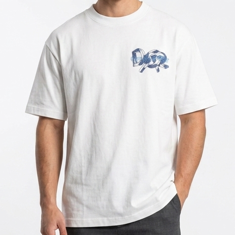 Dior Men's Premium White Over sized  Crew Neck T-Shirt
