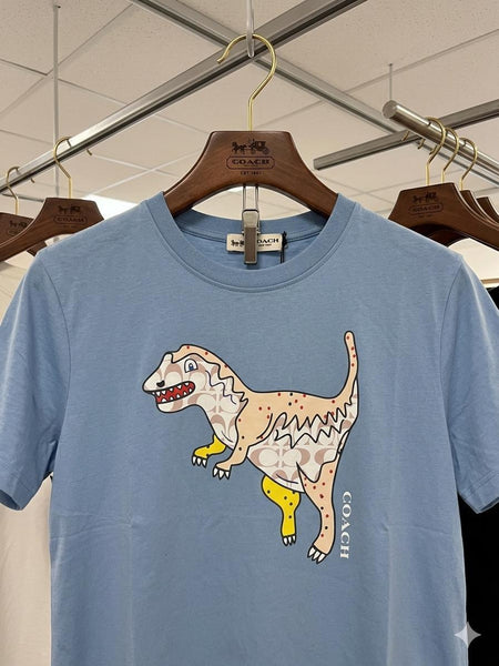 Premium Women’s Light Blue Graphic Printed Casual T-Shirt