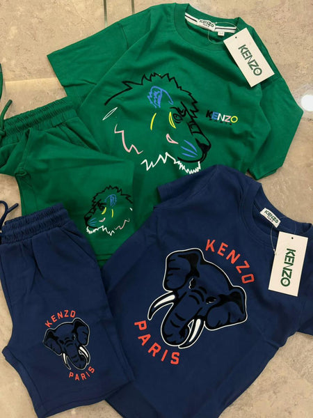 Kid Premium Printed T-Shirt & Shorts Co-Ord Set