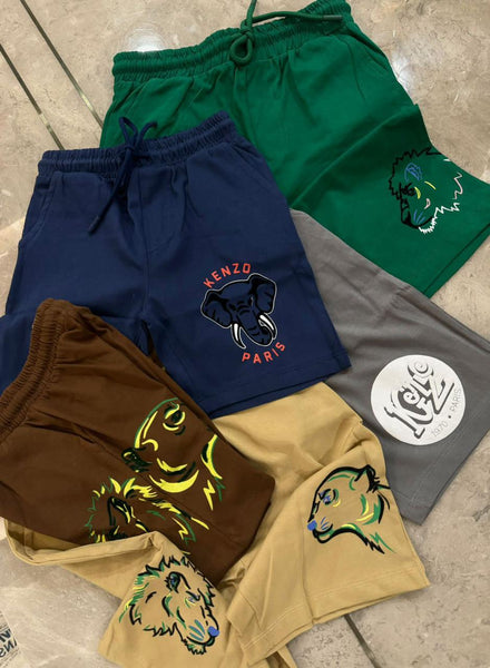 Kid Premium Printed T-Shirt & Shorts Co-Ord Set