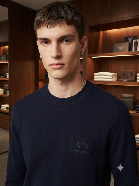 Luxury Design  Solid Pullover With Embroidered Logo