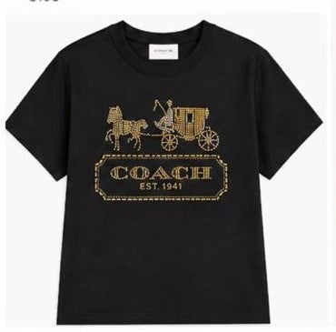 Premium Women Crystal-Embellished Horse and Carriage Logo T-Shirt