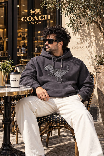 Premium Exclusive High-End Quality Dark Grey Embroidered Dinosaur Graphic Hoodie