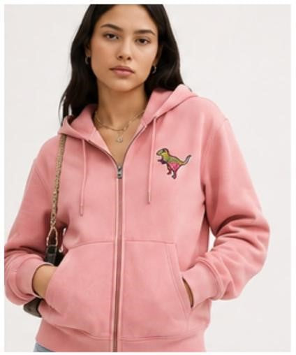 Premium Exclusive Soft Dinosaur Embroidered Zip Hoodie
