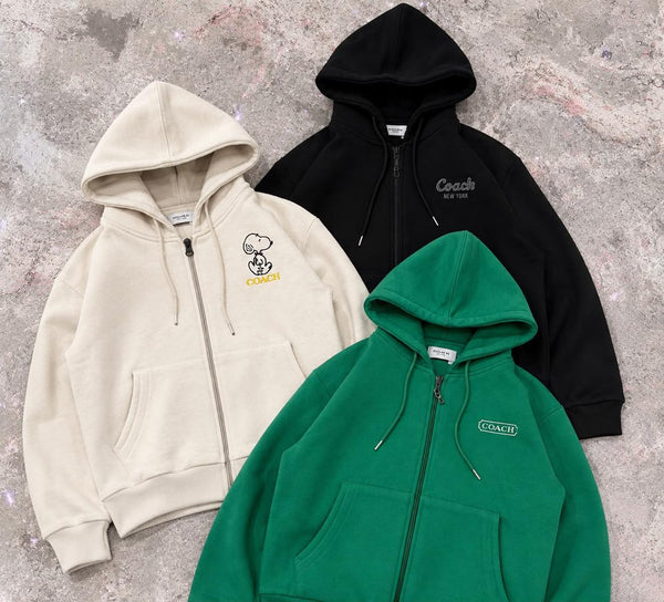 Premium Exclusive Soft Dinosaur Embroidered Zip Hoodie