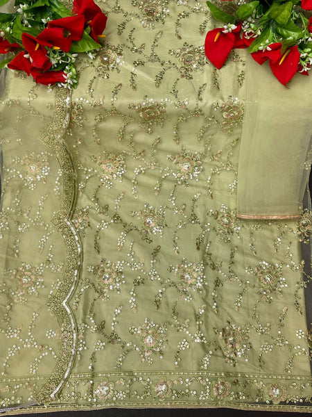 Heavy Butterfly Net With Embroidery Work With 3mm Sequence Work
